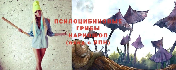 винт Алзамай