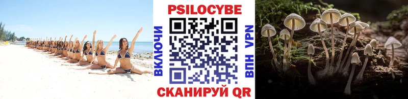 Псилоцибиновые грибы мицелий  наркота  Андреаполь 